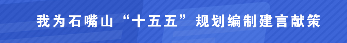 我为石嘴山“十五五”规划编制建言献策