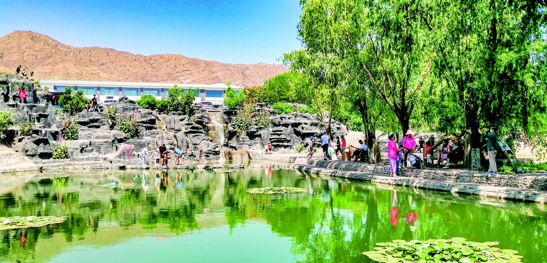 大武口区龙泉村美丽家园建设忙