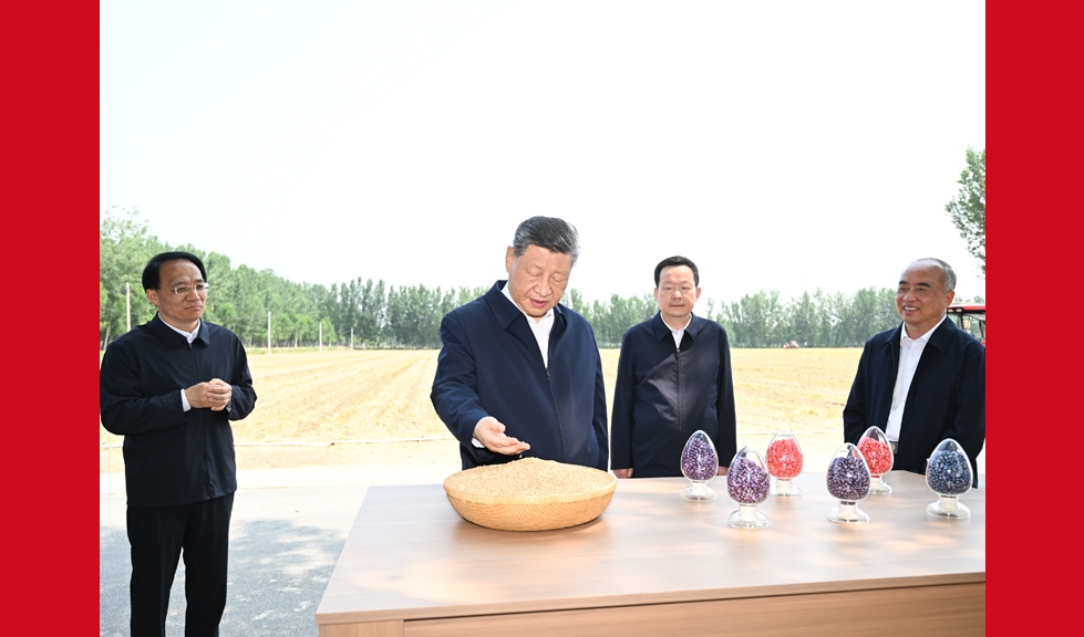 习近平在山东德州考察时强调 以扎实举措推进农业农村现代化 用勤劳和智慧创造更加美好生活